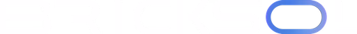 Bricksol-Logo